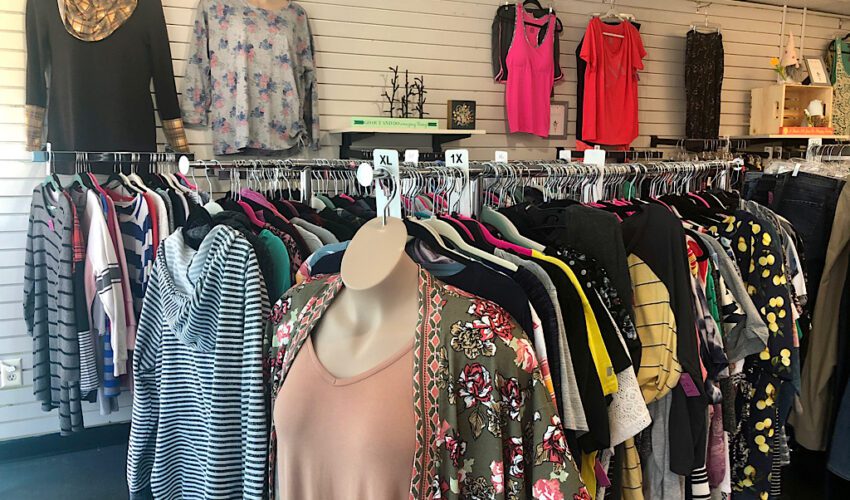 Thrift Store Women’s Clothing Resale Lot