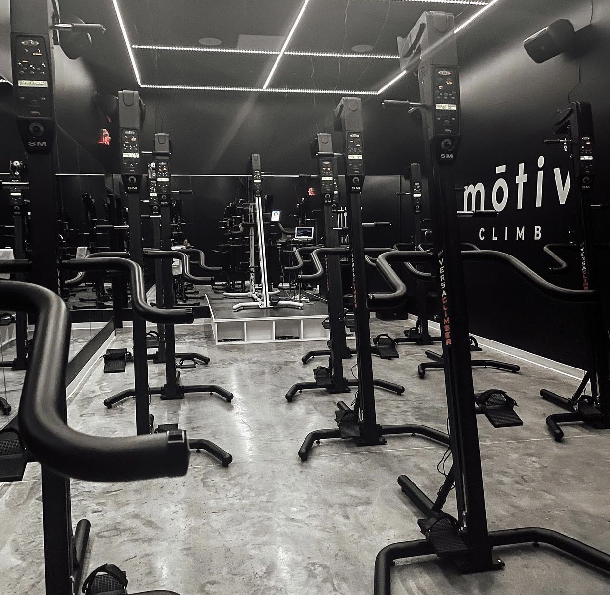 The Wedge on Western, Motiv Fitness