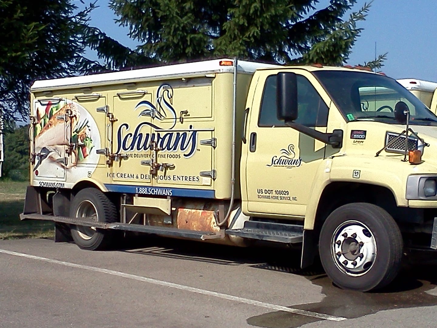 Schwan on sale food delivery